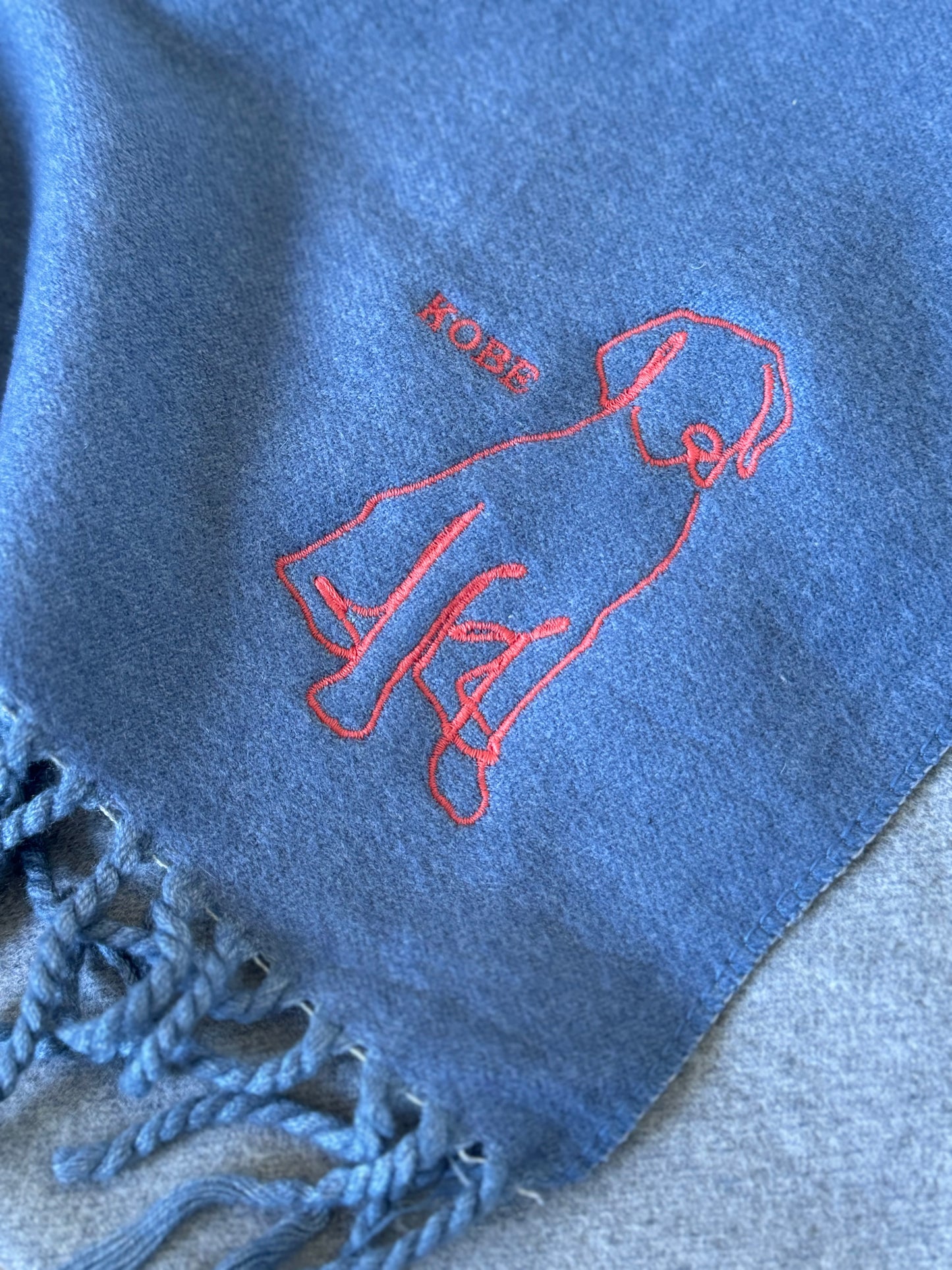 Personalized Pet Embroidered Scarf